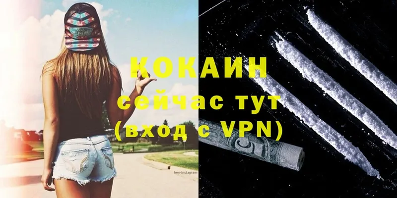 цены   Сыктывкар  COCAIN 97% 