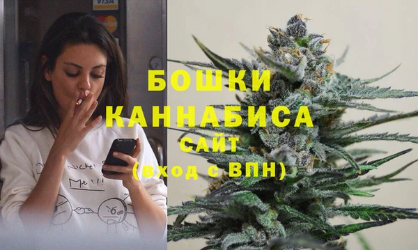 PSILOCYBIN Новозыбков