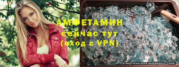 индика Козельск