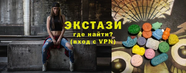индика Козельск