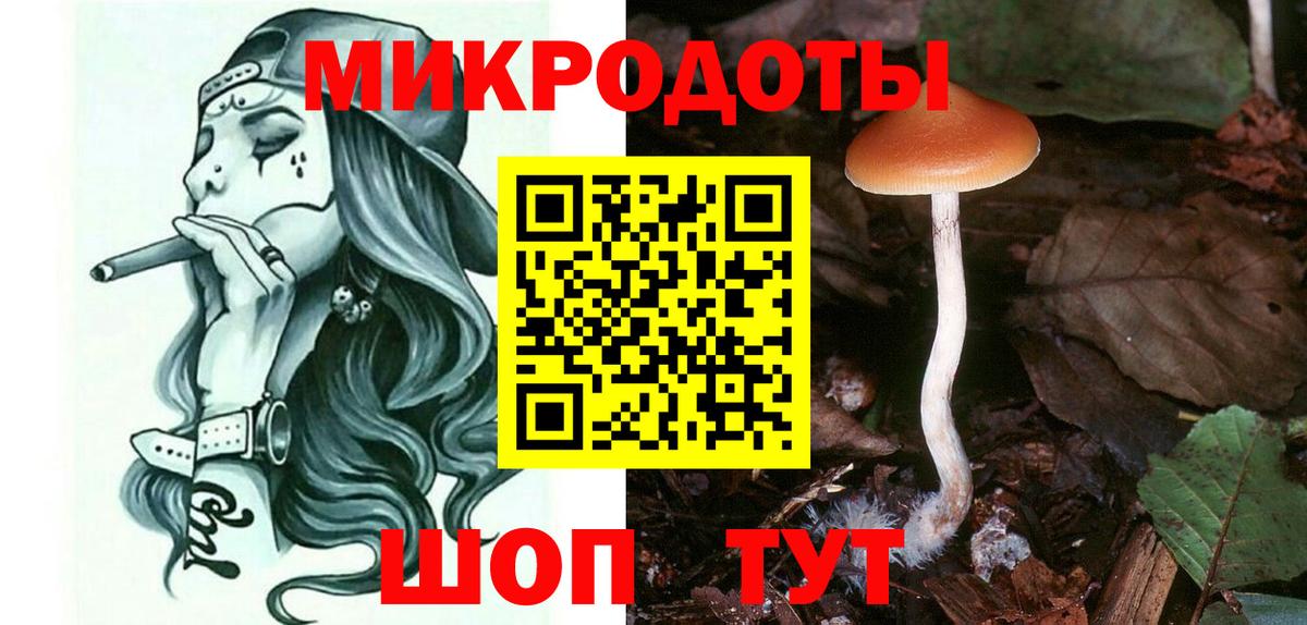Галлюциногенные грибы Psilocybe  Сыктывкар  Псилоцибиновые грибы Psilocybe 
