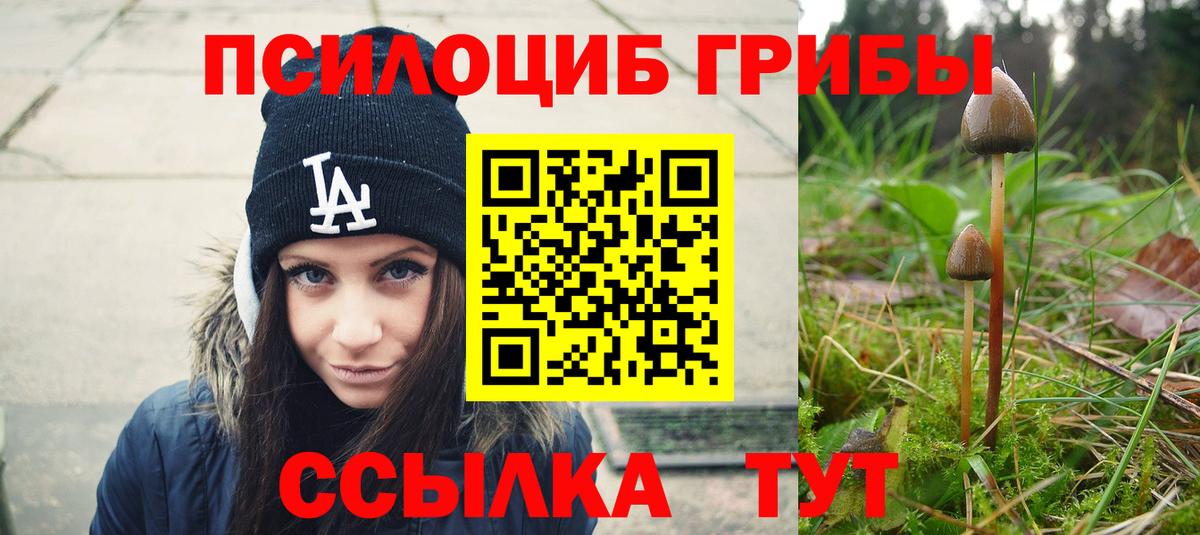Галлюциногенные грибы Magic Shrooms  Псилоцибиновые грибы Cubensis  Сыктывкар  Вход с VPN 