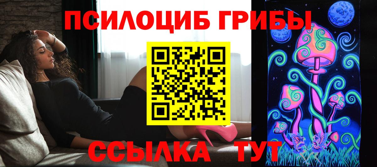 Галлюциногенные грибы GOLDEN TEACHER Сыктывкар